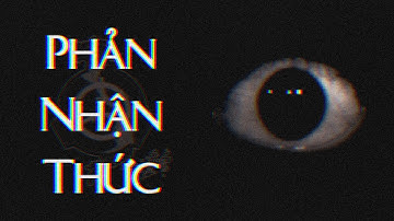 Phản Nhận Thức Là Gì? | SCP-3125