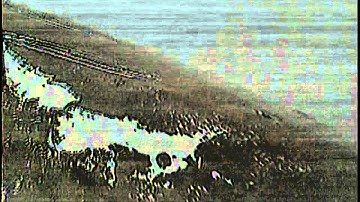 Ritewing Zephyr Mini