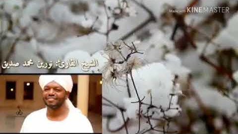 رحم الله الشيخ نورين محمد صديق رحمة واسعة