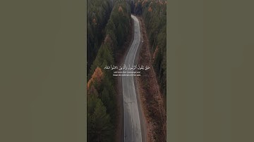 ألا إن نصر الله قريب | سورة البقرة | تلاوة خاشعة بصوت الشيخ وديع اليمني