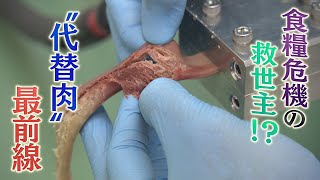 【微生物から肉!?】世界人口増で迫る食糧危機　救世主として注目の“代替肉”最前線【アスミライ　プロジェクト】