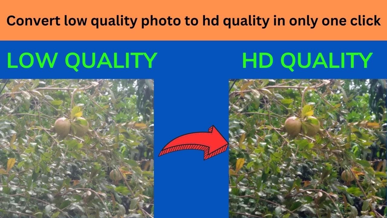how to convert low quality photo to hd quality | Dslr quality photo in only one click