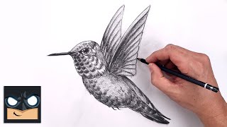 how to draw a hummingbird sketch tutorial step by step