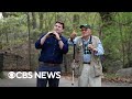 Birding may hold key to keeping your brain sharp in old age, new study suggests