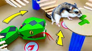 🐹🐍Snake Hamster Maze with Traps | DIY Hamster Maze