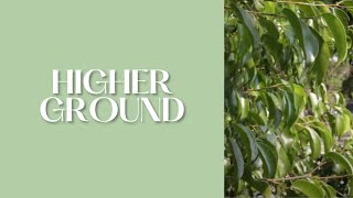 Higher Ground by Charles Hutchinson Gabriel (cover by my husband)