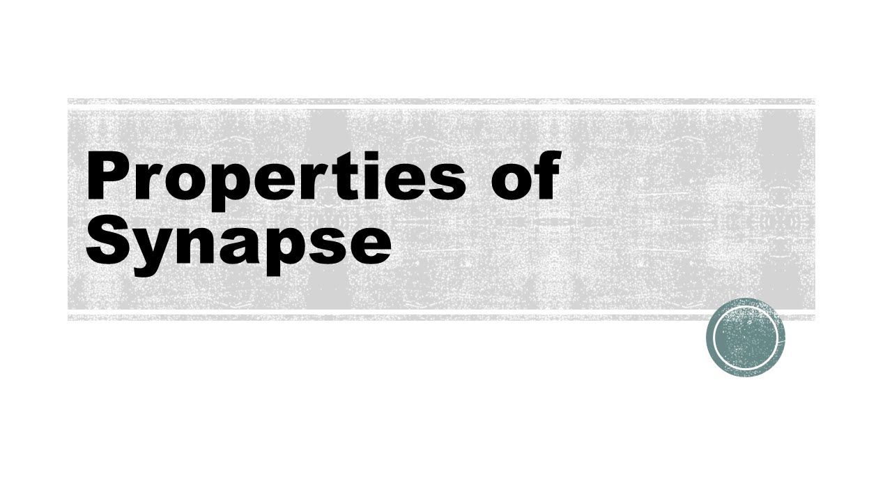 Properties of Synapse