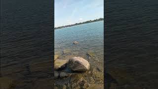 Belle isle water