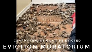Crappy Tenant Can’t Be Evicted | Eviction Moratorium