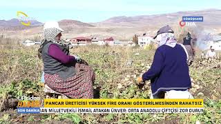 Pancar Üreticisi Yüksek Fire Oranı Gösterilmesinden Rahatsız