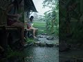 Hujan deras di suasana alam desa & aktivitas gadis desa cantik #rain #beauty