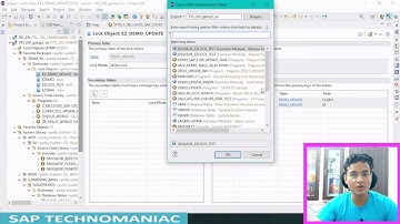 Enqueue and Dequeue Function Module ( SAP  Lock Object )