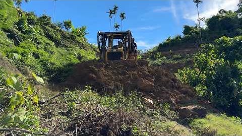 The Process of Road Construction in the Plantation Using a CAT D6R XL Bulldozer