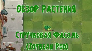 Обзор Стручковой фасоли (Zoybean Pod), растение из Plants vs Zombies 2