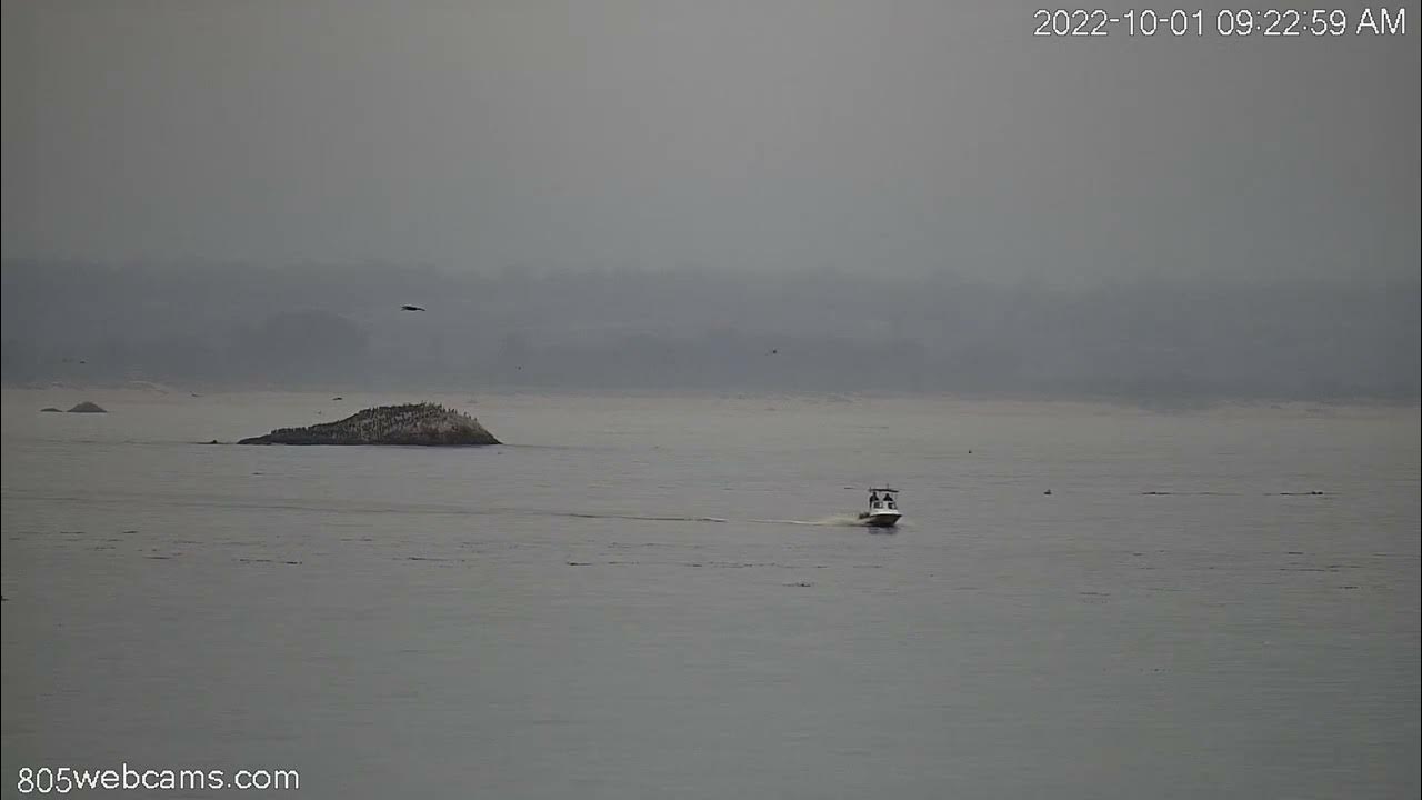Avila Beach cam Recap Boat Oct 1, 2022 YouTube
