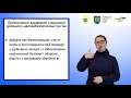 Призначення державної соціальної допомоги малозабезпеченим сім’ям