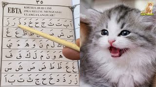 📖 Belajar Baca Iqro Bareng Kucing Pintar 😸