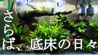 さらば底床の日々