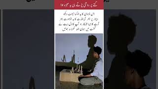 The Most Amazing Shadow Art Miracle! #Shorts #Art