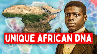 Why The African American Dna Is So Unique? Ancestors Extinction
