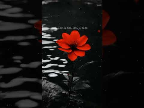 سوف نمضي في دروب الحق دنيانا ودين