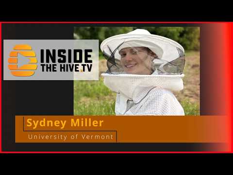 Why Hygienic Bees Resist Disease — Scientists Finally Have Answers
