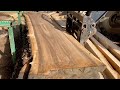 #MWShoptalk - Sawmill and Epic English Walnut tree