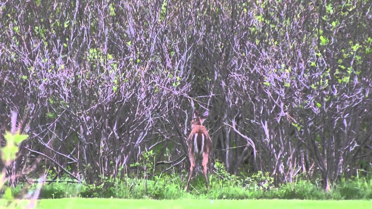 Pictou County and Melmerby Beach near New Glasgow, Nova Scotia