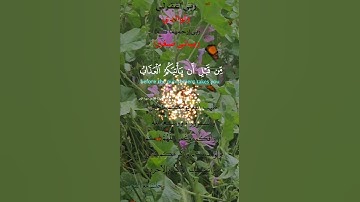 تلاوة خاشعة عطرة مباركة جميلة عذبة للشيخ سعود الشريم ماتيسر من سورة الزمر