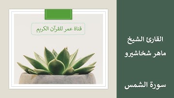 091 ـ سورة الشمس ـ القارئ الشيخ ماهر شخاشيرو