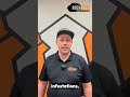 🦇 Meet Alexander Gray – Wildlife Division Leader at Rock Pest Control