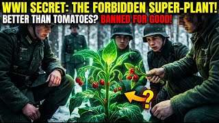 WWII Soldiers Found 1 Plant That Changed Everything (Better Than Tomatoes, Banned After The War)