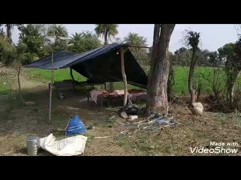 आओ सब हमारी इंजॉय पार्टी में बहुत ही अच्छा लगेगा खेत पर देखिए हम सब ने क्या बनाया और क्या खाया