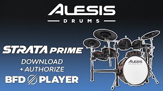 Alesis Strata Prime Download Authorize Included Software