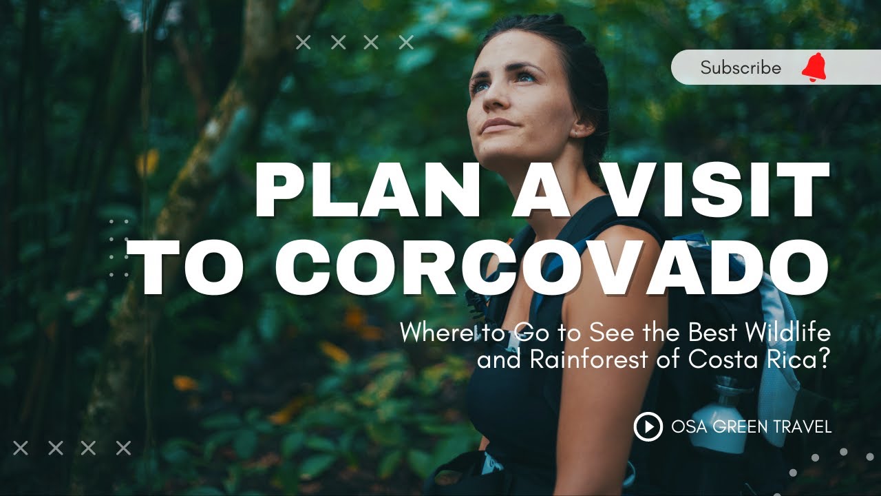 Head to the 'Amazonia' of Costa Rica, Corcovado National Park in Osa Peninsula.