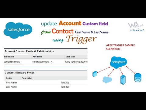 Write a Apex Trigger on Contact and Update the Account Custom Field in Salesforce