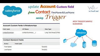Write a Apex Trigger on Contact and Update the Account Custom Field in Salesforce