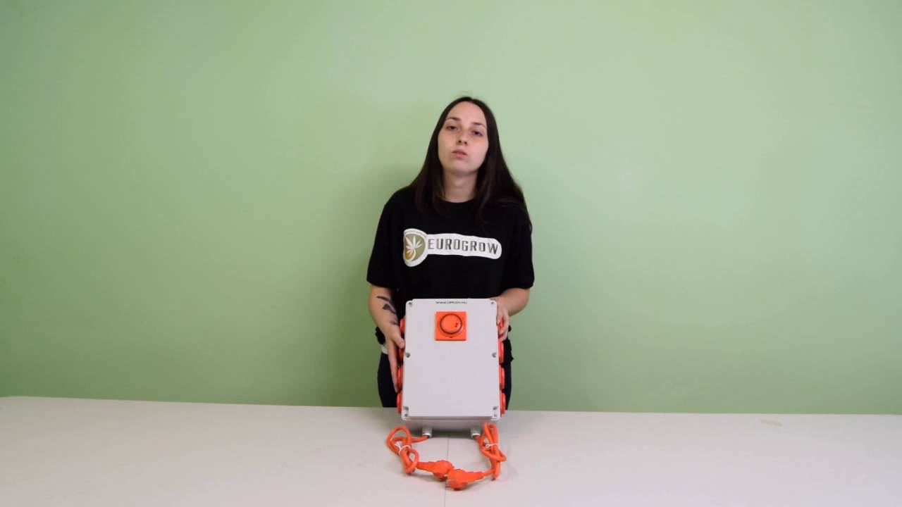 Temporizador 8X600W Para cultivo de Marihuana - Eurogrow.es