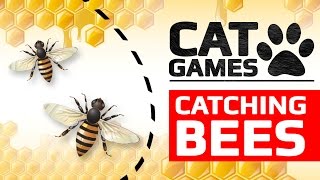 CAT GAMES - 🐝 CATCHING BEES (ENTERTAINMENT VIDEOS FOR CATS TO WATCH) screenshot 2