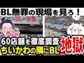 BL無罪は本当なのか？調べてみたら想像以上に酷かった！ツイフェミさん、ゾーニングは？