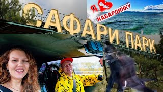УЕХАЛИ из КРАСНОДАРА/😲Геленджик-парк/🔥КАБАРДИНКА-наша МЕЧТА/💯Работа/👀