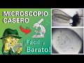 Microscopio casero (Fácil y Barato)