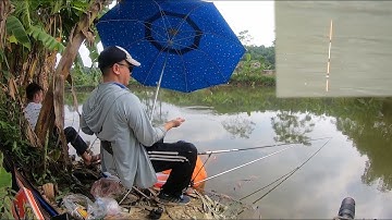 Câu cá diếc phao bềnh bằng mồi câu gia truyền