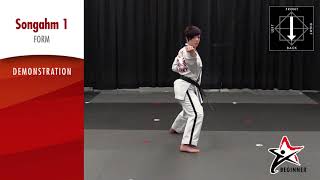 Songahm 1   Form   Demo 720p