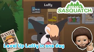 Sneaky Sasquatch Info - How to level up your dog in one day