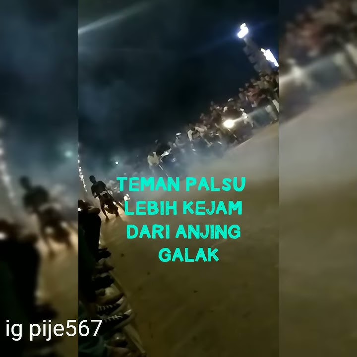 Status wa drag terbaru
