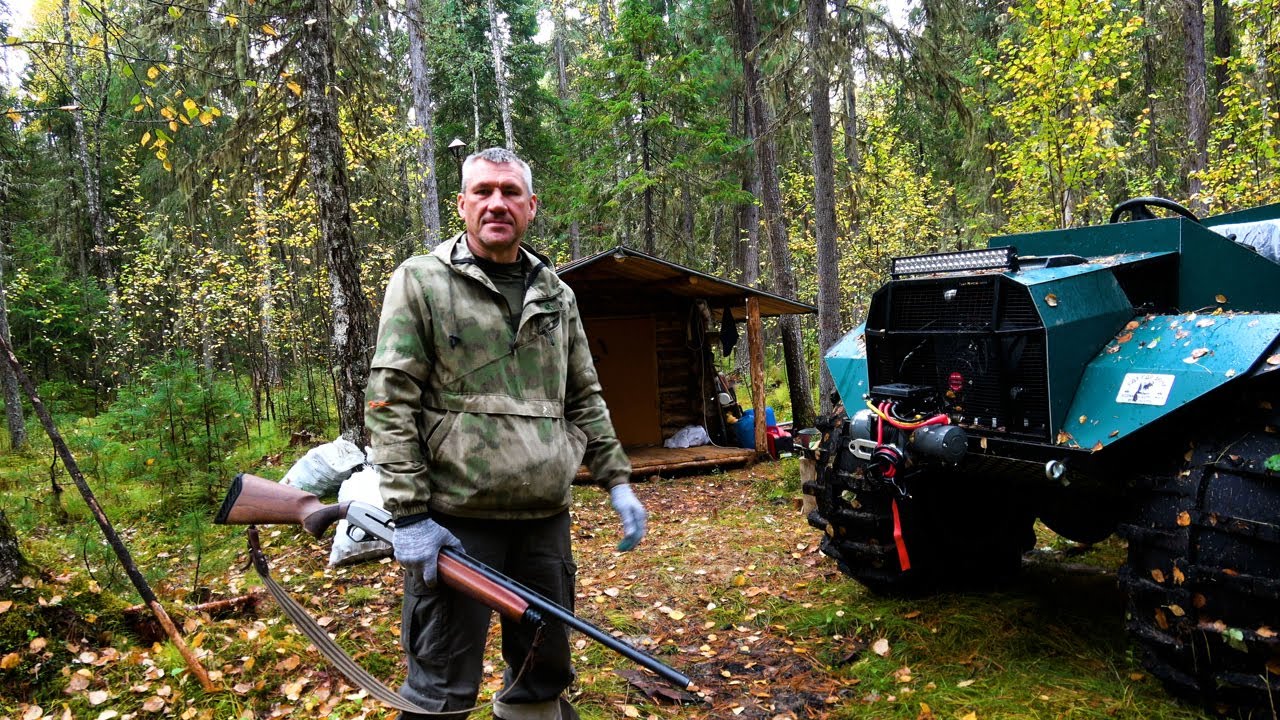 Новый помощник. Сбор урожая. Пять медведей у избы.