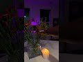 #cozy #nighttimeroutine #cozyaesthetic #fyp #contentcreator