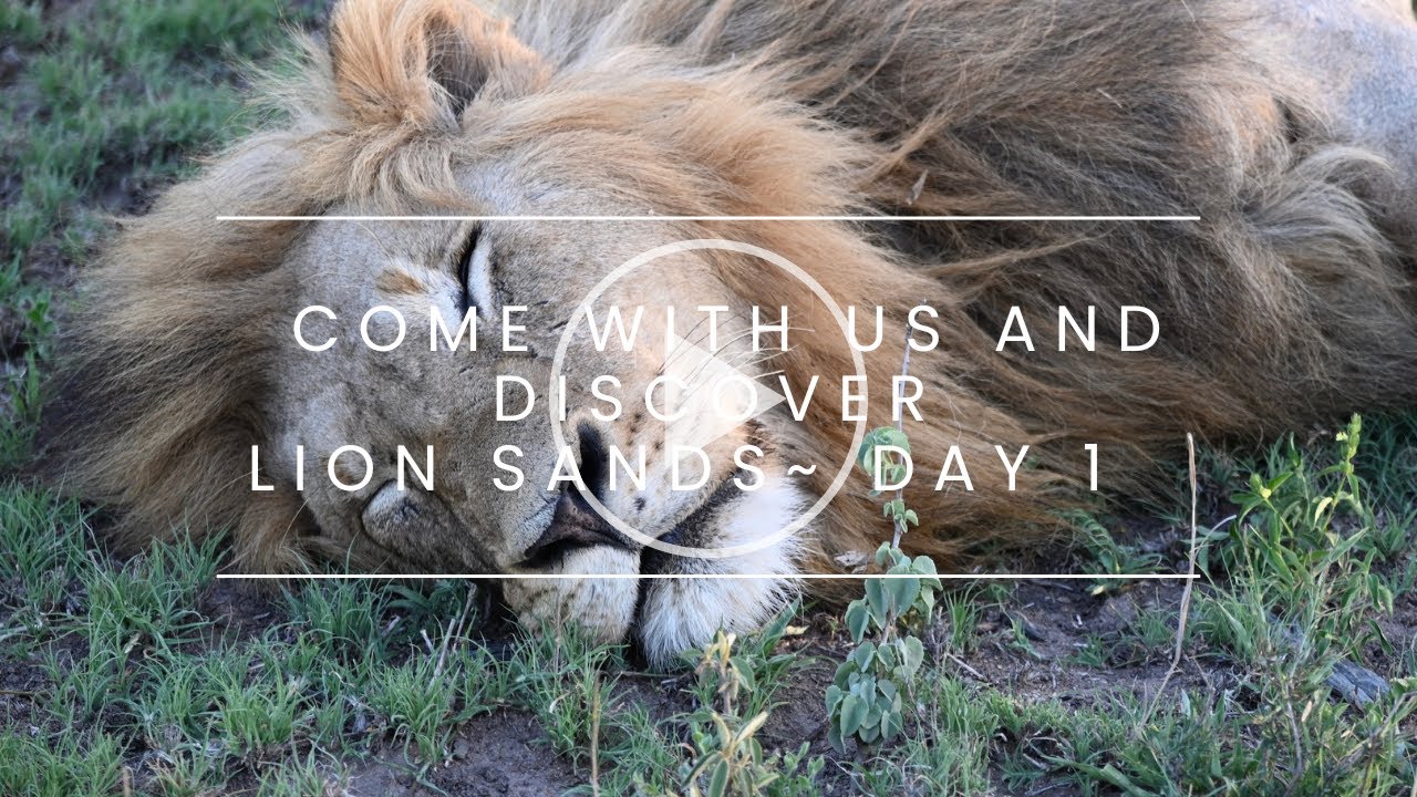 Lion Sands ~ Day 1