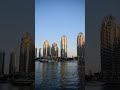 Dubai Marina #dubai #dubailife #nikond5300 #shorts